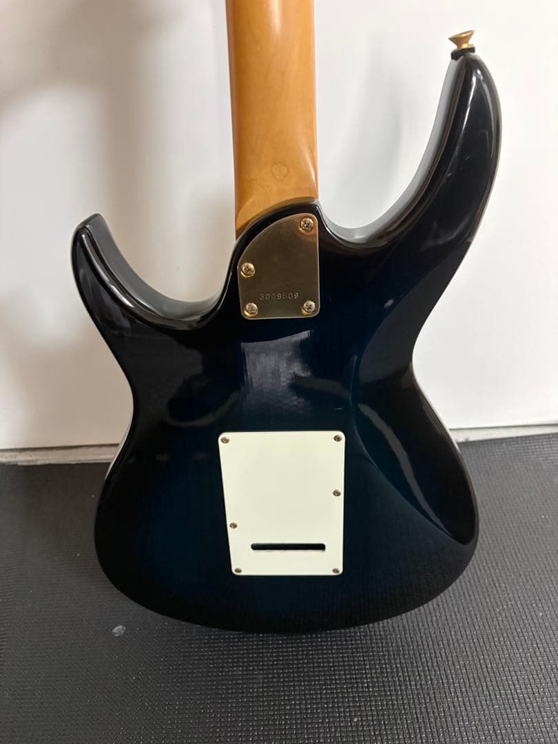 Aria pro2 viper vp-400 ケース　ストラップ　教科書付き