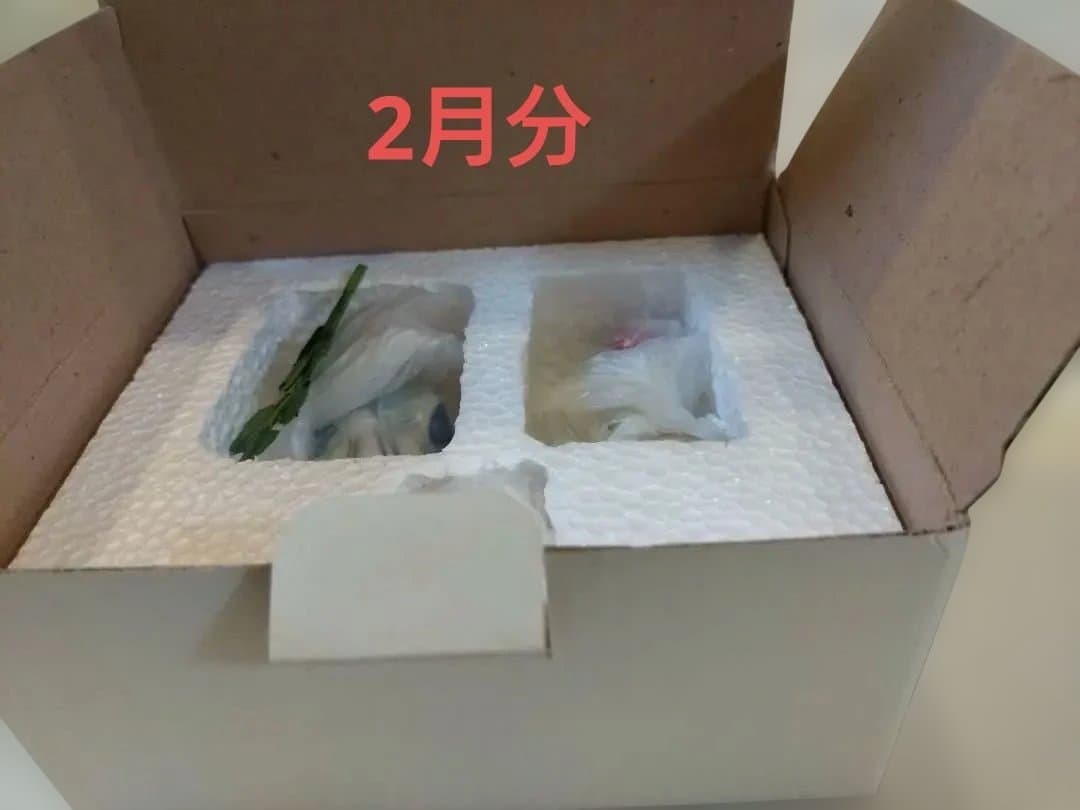陶器　置物　ローズオニールキューピー　 フィギュア　歳時記　1月2月　セット売り
