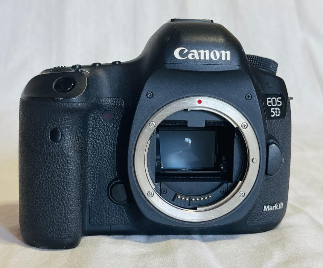Canon キヤノン EOS 5D Mark III +バッテリー2個セット