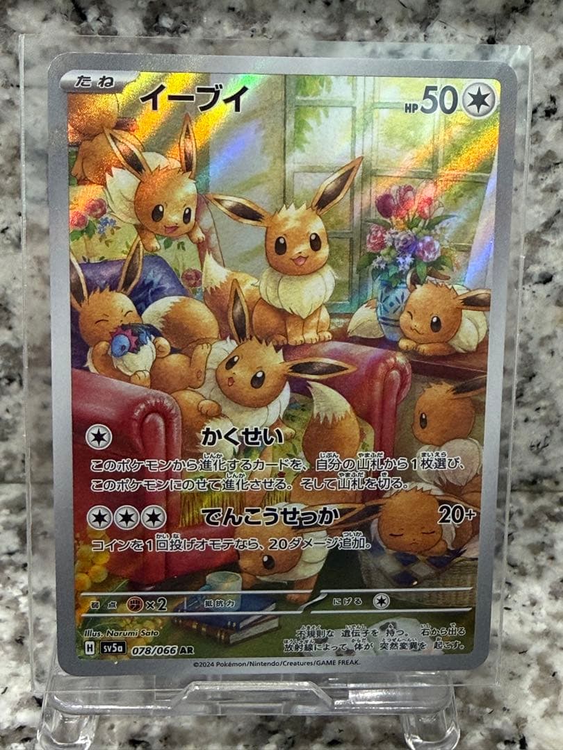 psa個体11枚セット　セタリング◎ 超美品