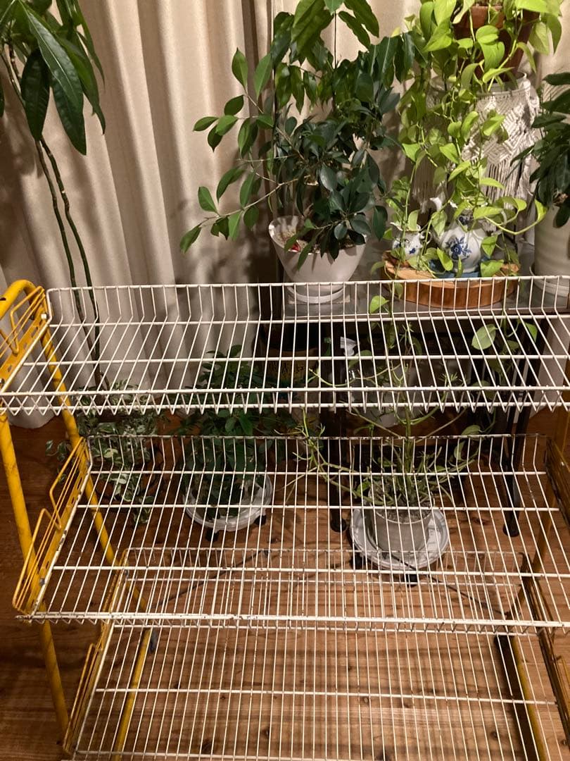 昭和レトロ　ワイヤーラック3段仕様　キャスター付ガーデニング　シャビーラック13