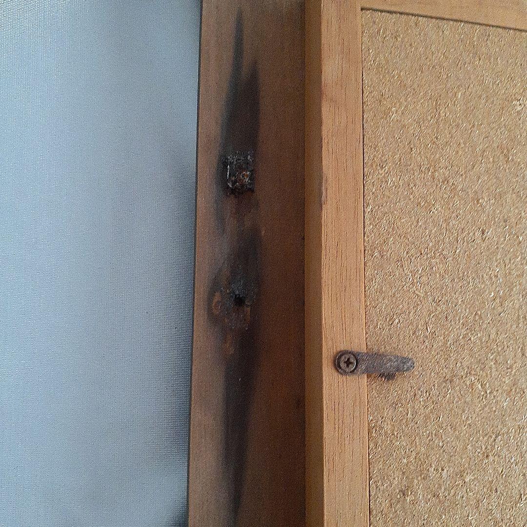 金襴手 金箔 陶板画 陶額 琥山窯 桜 金箔押