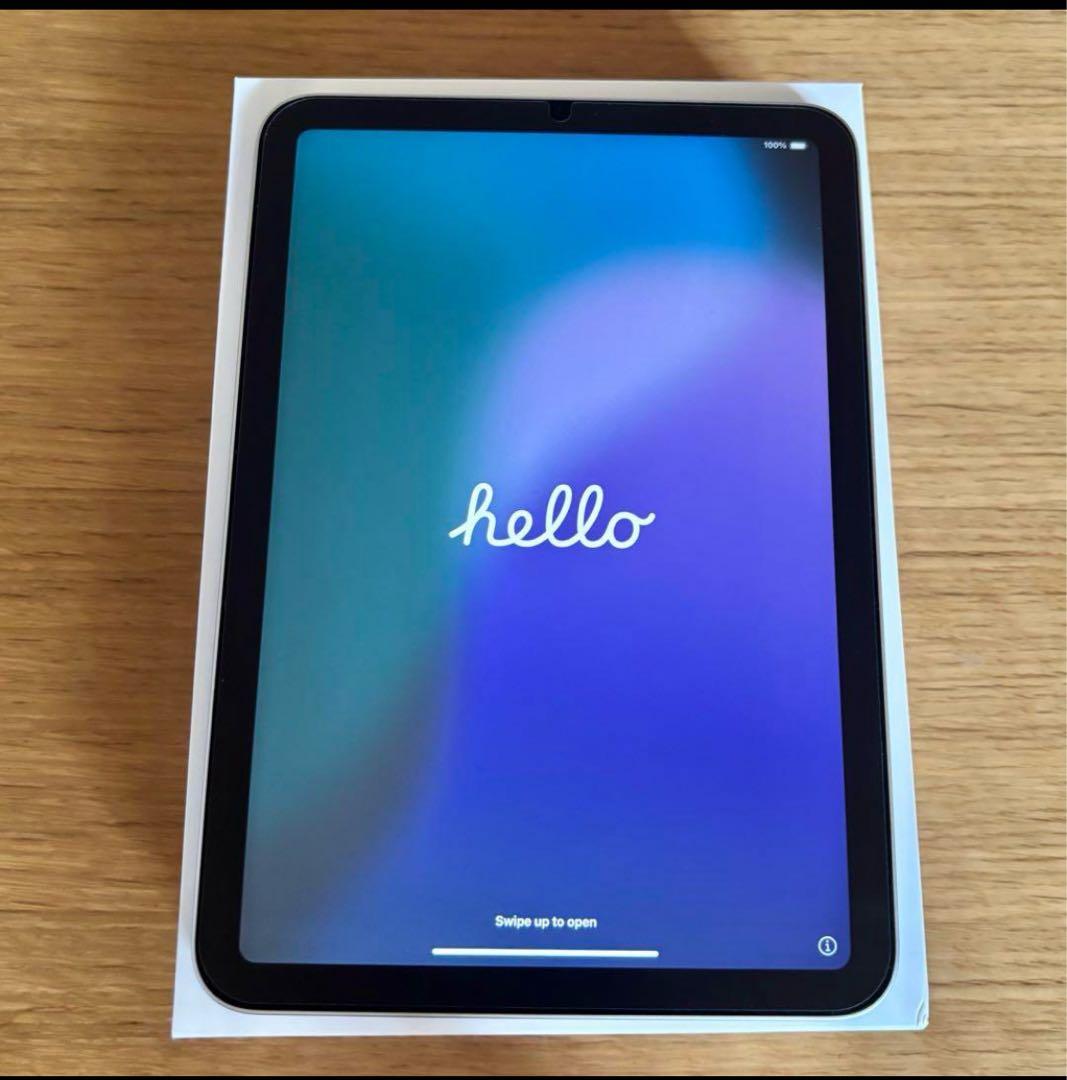 iPad Mini (第7世代) A17 Wi-Fi 128GB スターライト•