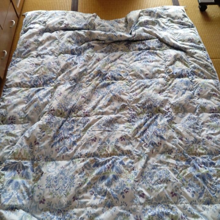 モリリン夏用羽毛掛け布団シングルサイズ2枚