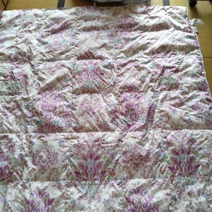 モリリン夏用羽毛掛け布団シングルサイズ2枚