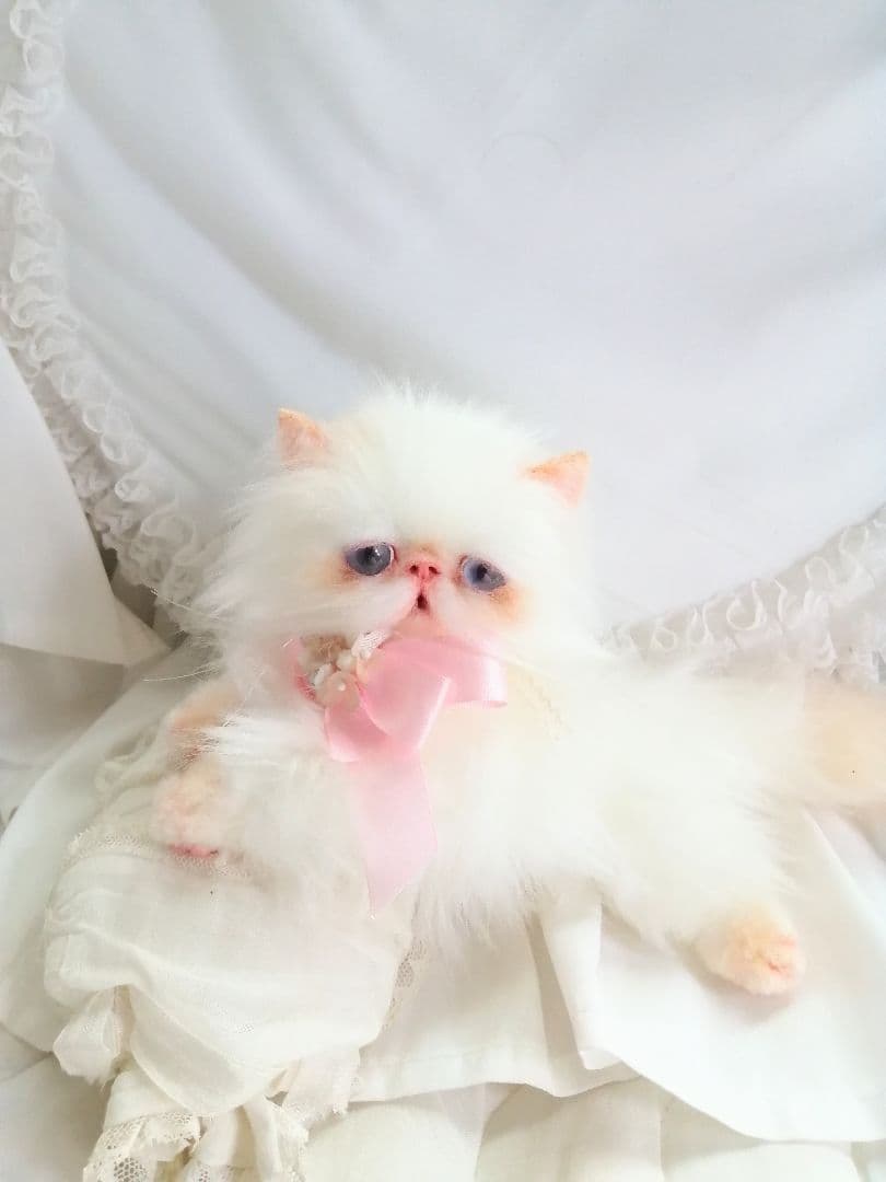 ６ヶ月♡子猫ちゃん♡エキゾチックロングヘア♡アートドール♡ぬいぐるみ♡綺麗な子♡
