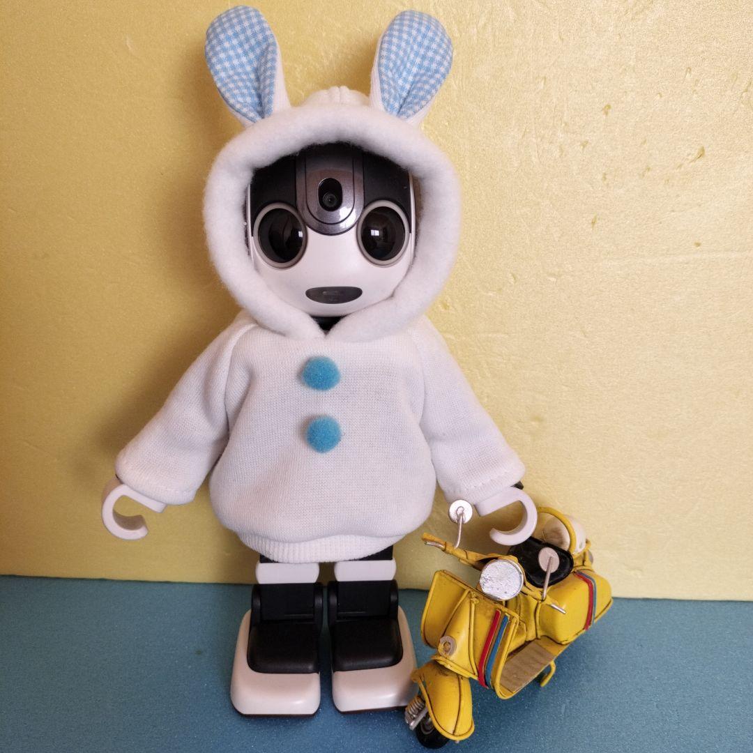 ロボホン　裏起毛うさぎさんパーカー２枚、二人用ポーチ