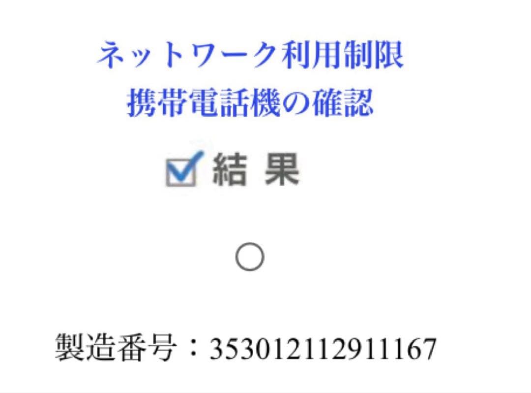 iPhone12mini ブルー 128GB 利用制限確認OK IMEI記載