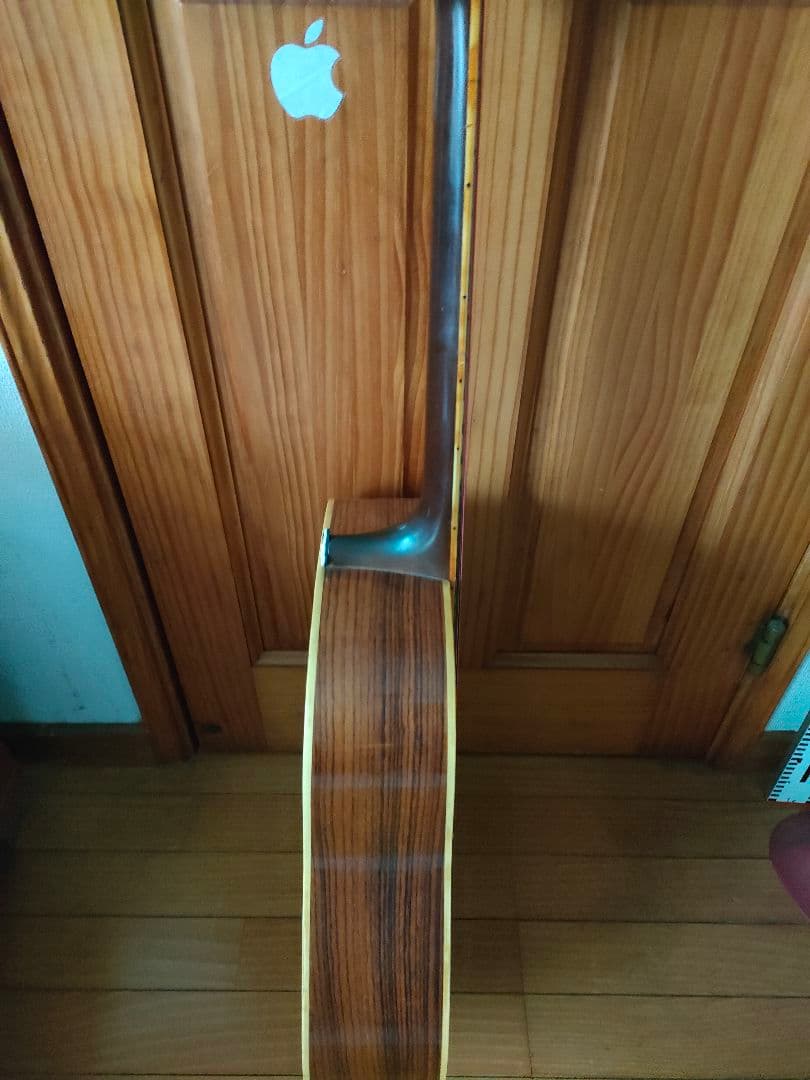 Elite アコースティックギター