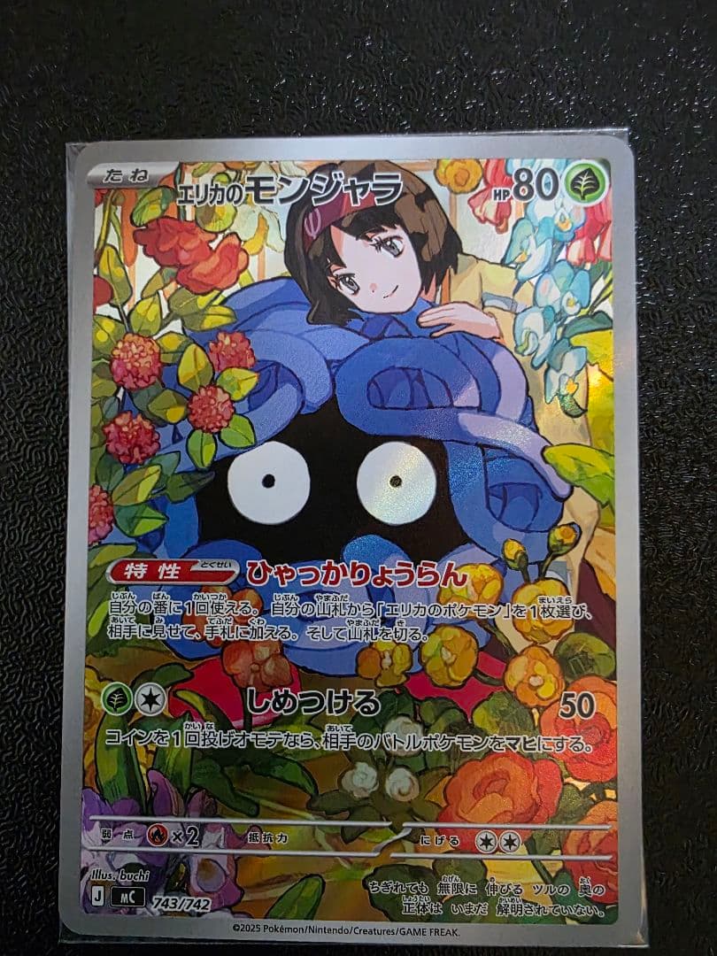 エリカのモンジャラ　ar