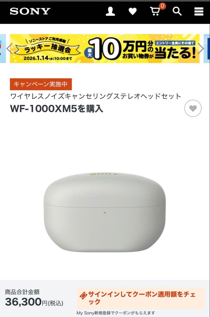 【美品】SONY WF-1000XM5プラチナシルバー　ワイヤレスイヤホンケース