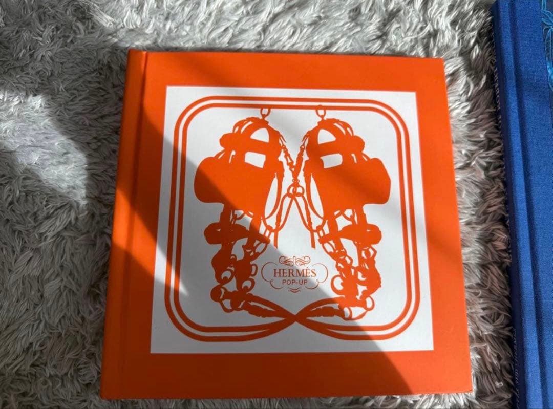 エルメス 飛び出す絵本 画集 2冊セット 写真集　ロバート　ダレ　画集　洋書