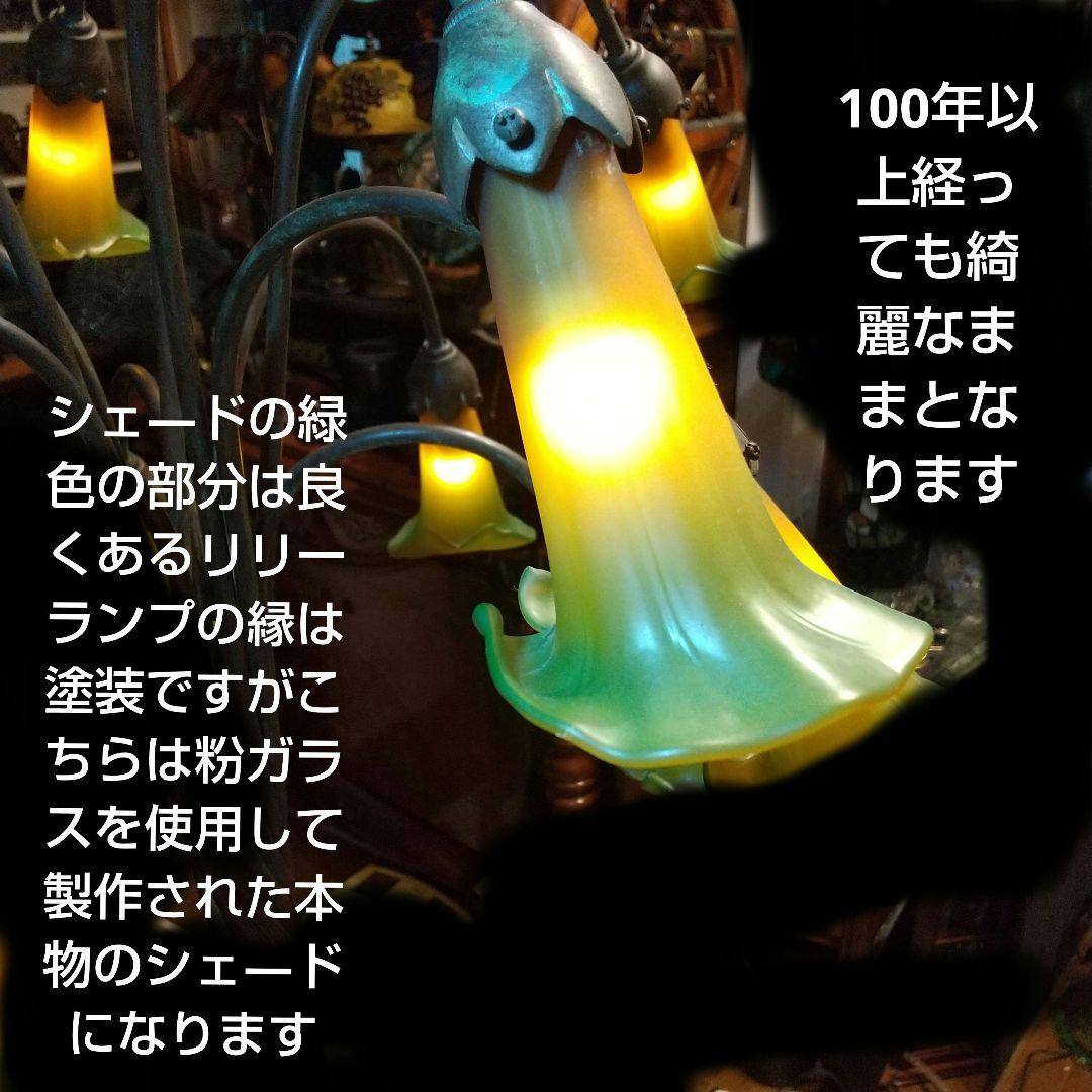 ‼️半額❗️引き取り限定 ルイス.ティファニー リリーランプ 12灯