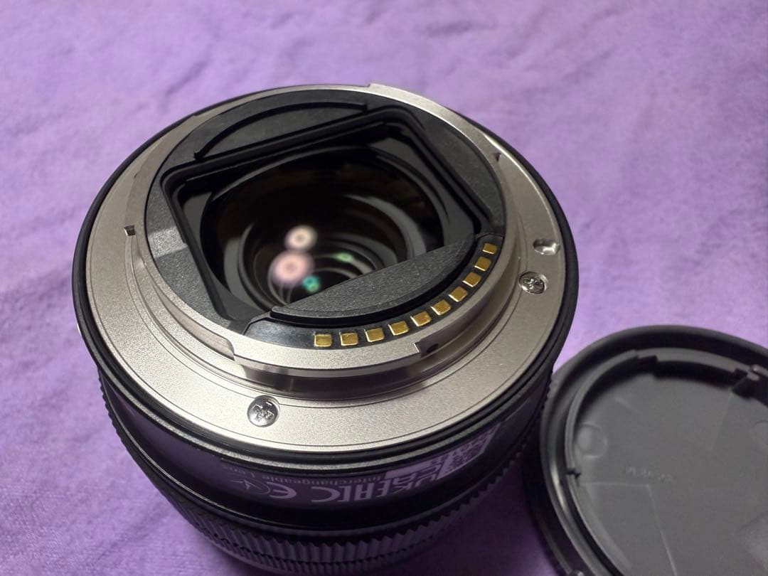 極美品 Sony FE 28-60mm SEL2860 プロテクター、ケース付