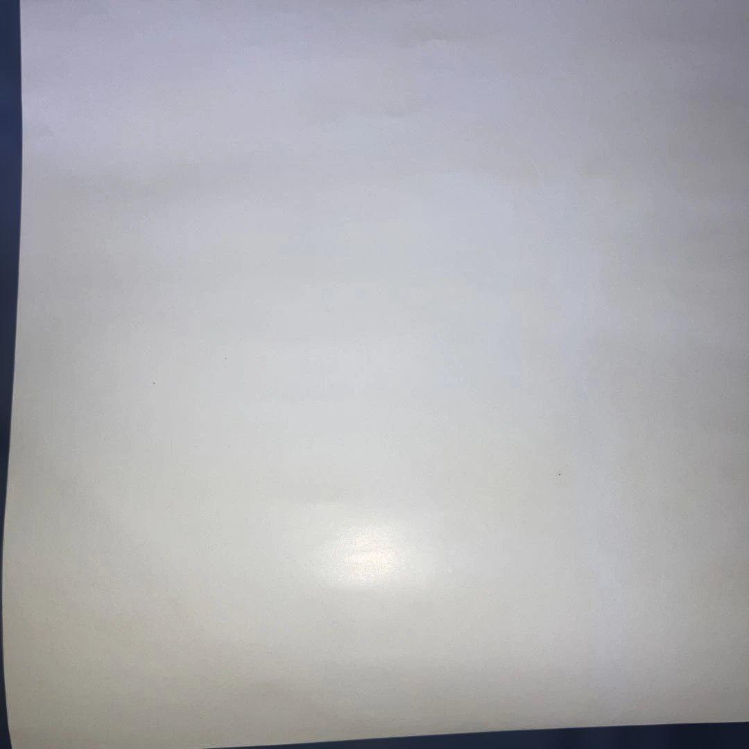 【激レア】もののけ姫　サン　ポスター　ジブリ　宮崎駿　B2サイズ