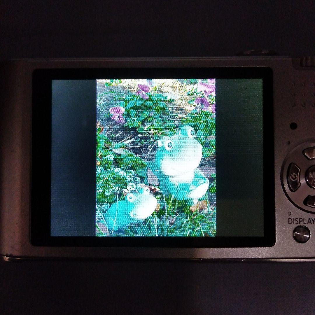 Panasonic LUMIX DMC-FX60　シルバー