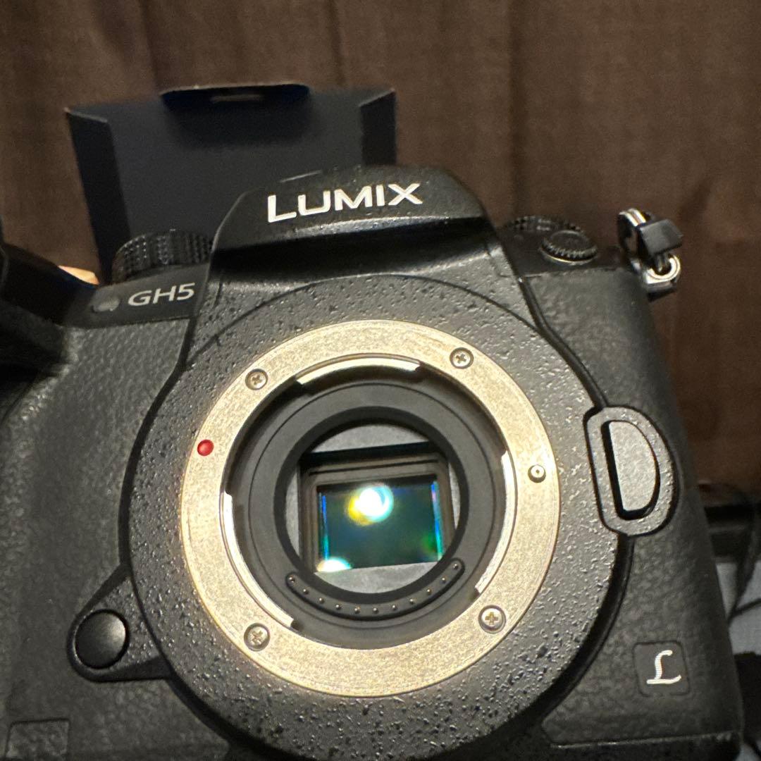 LUMIX DC-GH5 ミラーレス一眼カメラ dcカプラー付 4K動画撮影