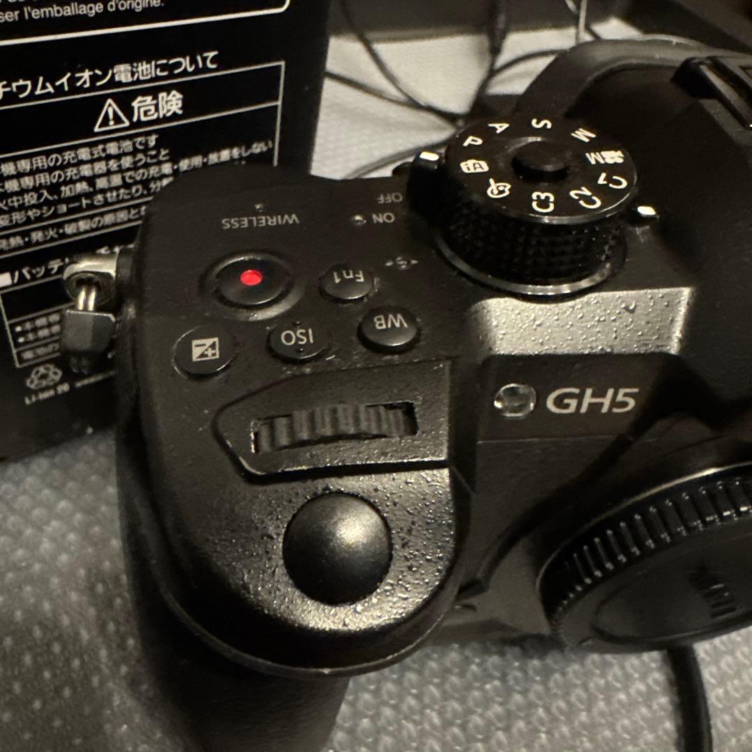 LUMIX DC-GH5 ミラーレス一眼カメラ dcカプラー付 4K動画撮影