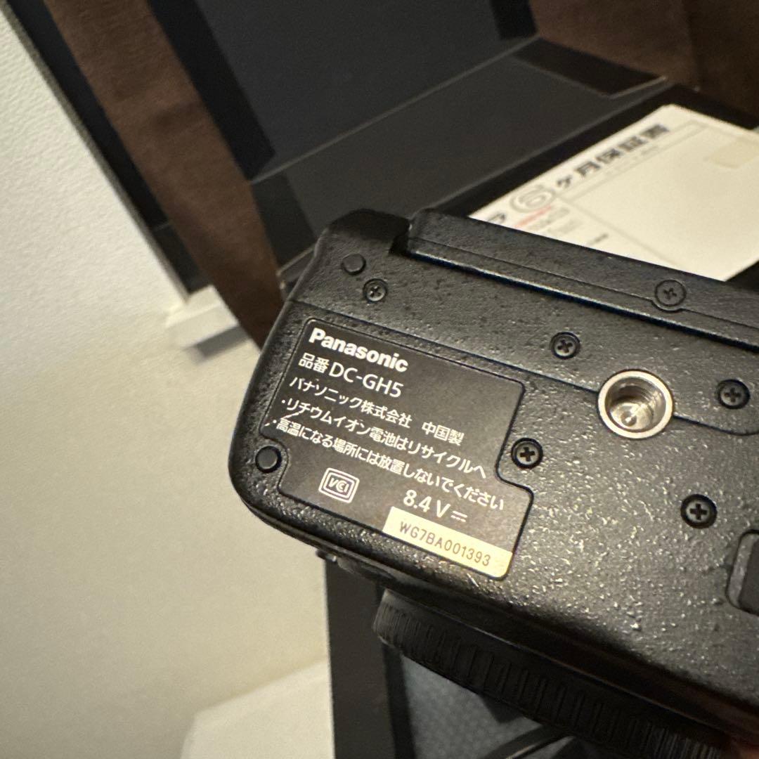 LUMIX DC-GH5 ミラーレス一眼カメラ dcカプラー付 4K動画撮影