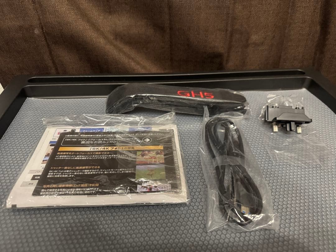 LUMIX DC-GH5 ミラーレス一眼カメラ dcカプラー付 4K動画撮影