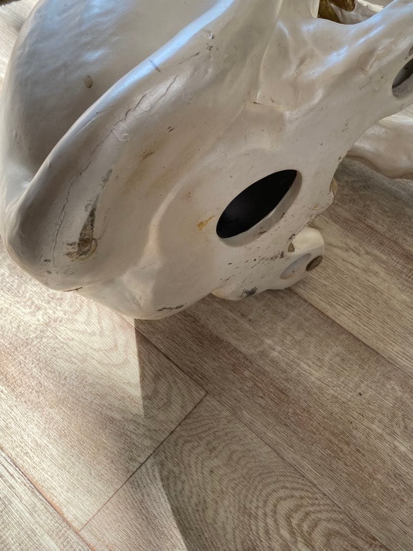 陶器 動物 ライオン 置物 イタリア製