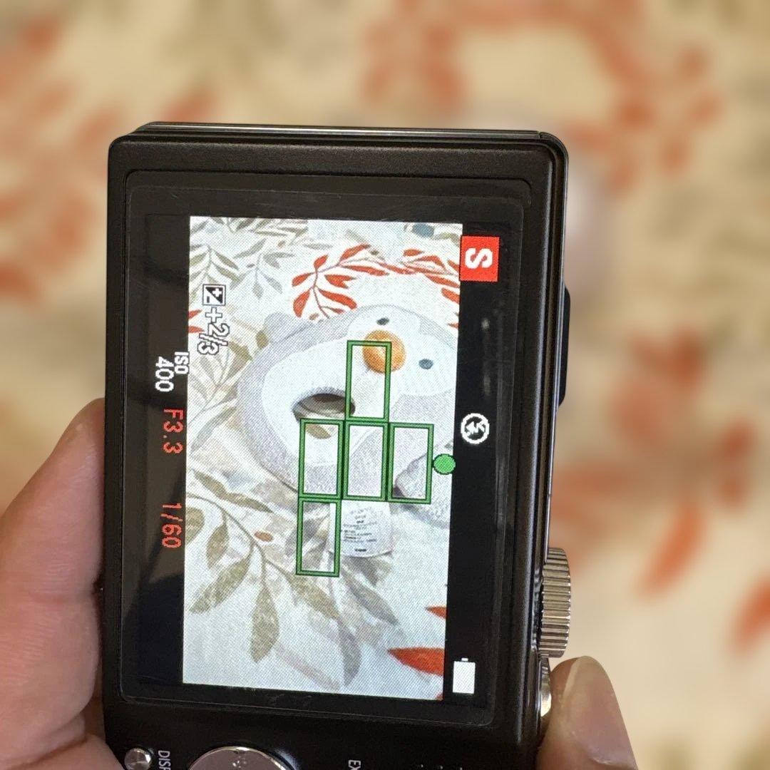 LUMIX DMC-TZ20 デジタルカメラ 16倍ズーム