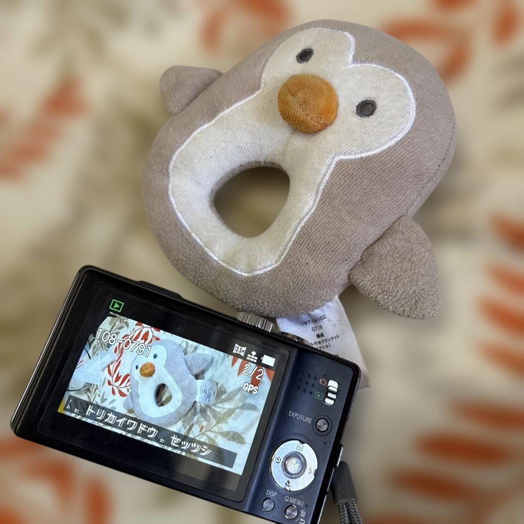 LUMIX DMC-TZ20 デジタルカメラ 16倍ズーム