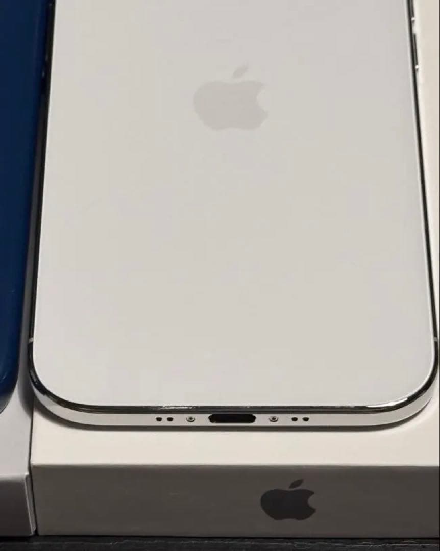 Apple iPhone シルバー 本体