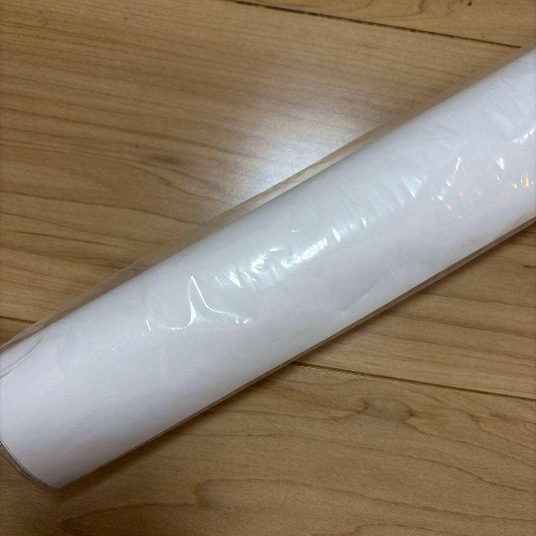 ダーヴィンズゲーム ポスター 2020年放送　非売品　1点限り