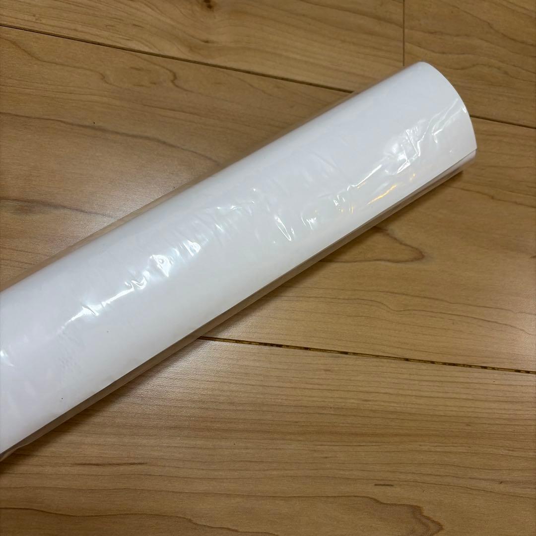 ダーヴィンズゲーム ポスター 2020年放送　非売品　1点限り