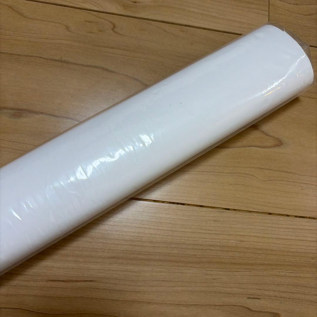 ダーヴィンズゲーム ポスター 2020年放送　非売品　1点限り