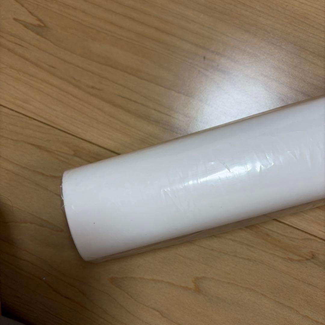 ダーヴィンズゲーム ポスター 2020年放送　非売品　1点限り