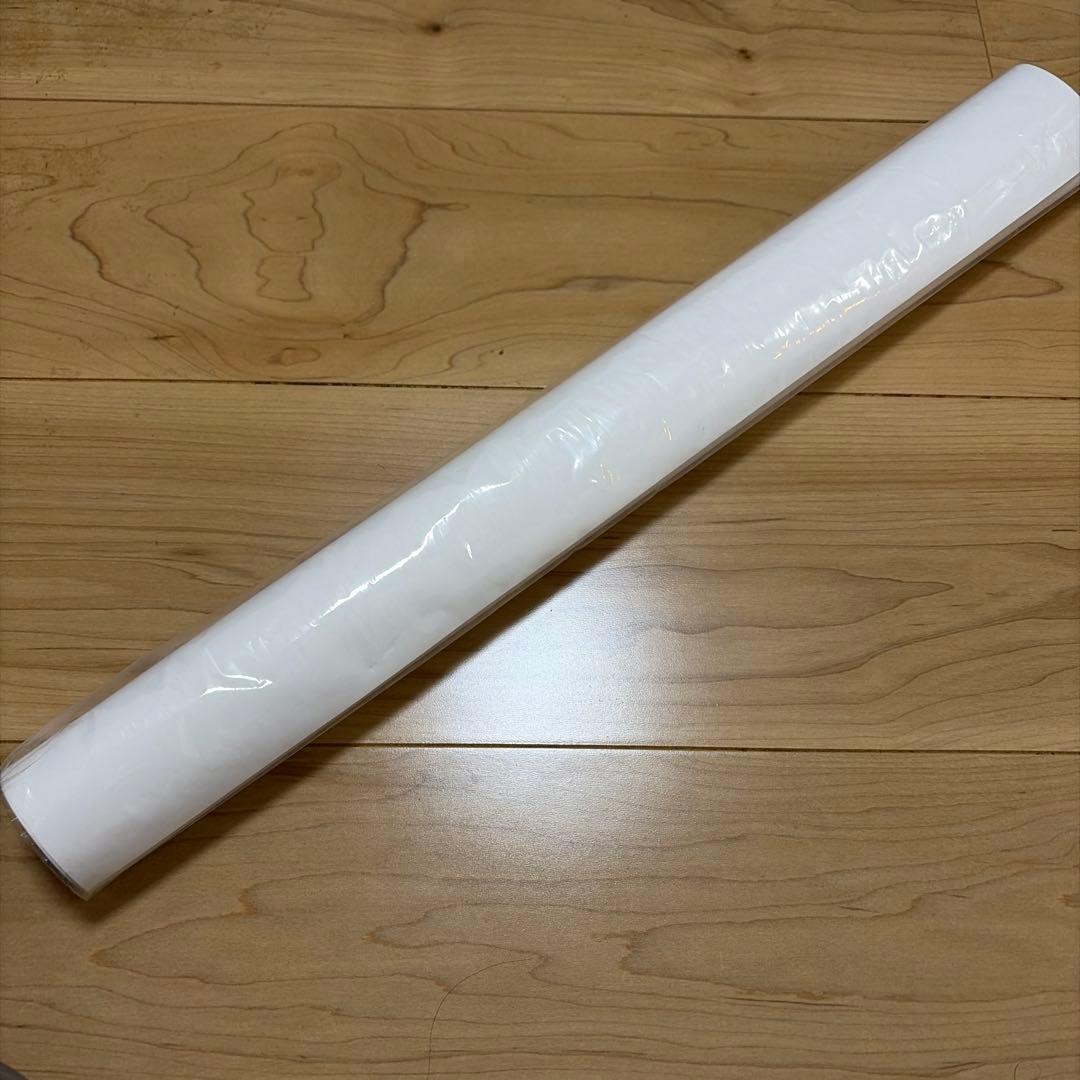 ダーヴィンズゲーム ポスター 2020年放送　非売品　1点限り