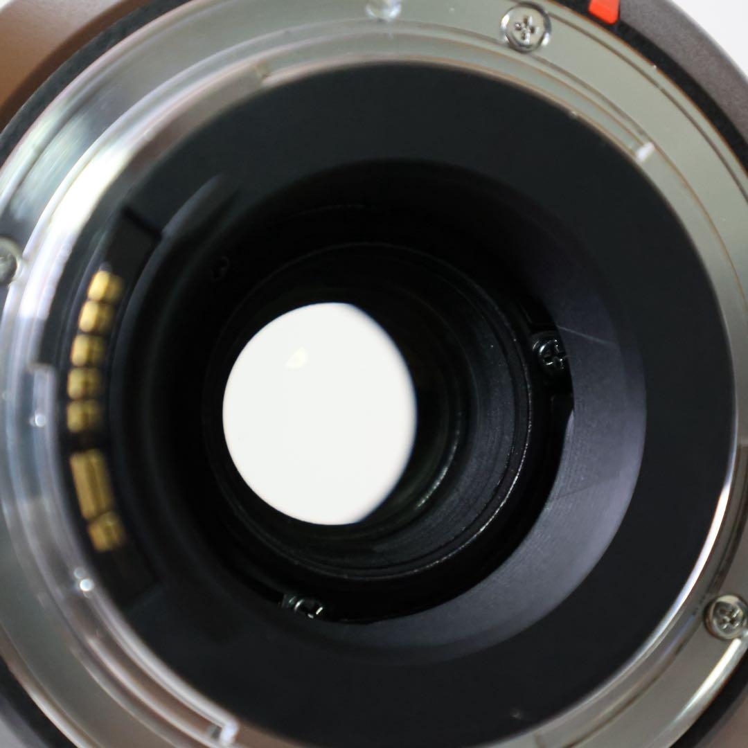 タムロン SP 70-300mm F/4-5.6 Di VC USD キャノン用