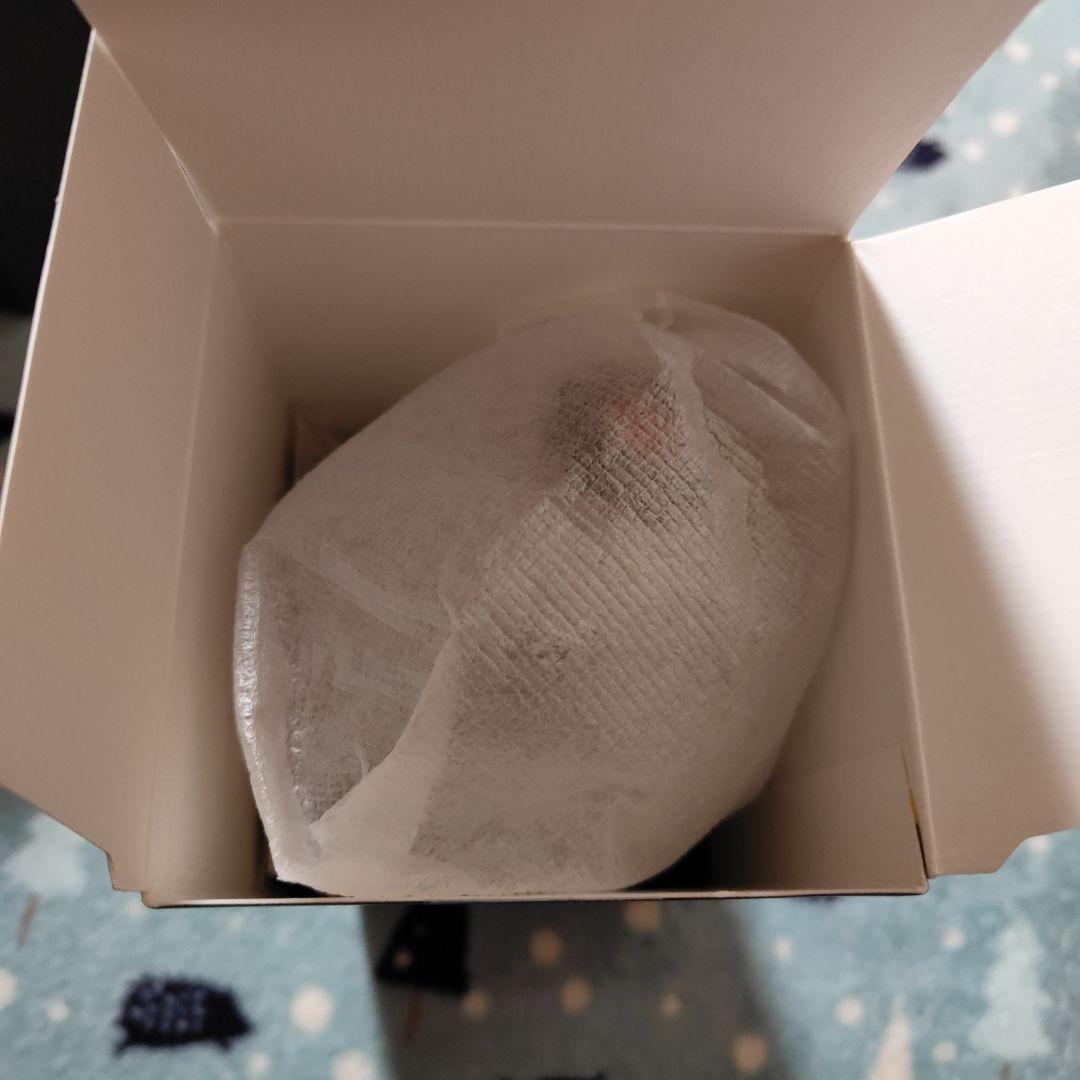 【新品未使用】公式 BTS オフィシャルライトスイックSE ver.4ペンライト