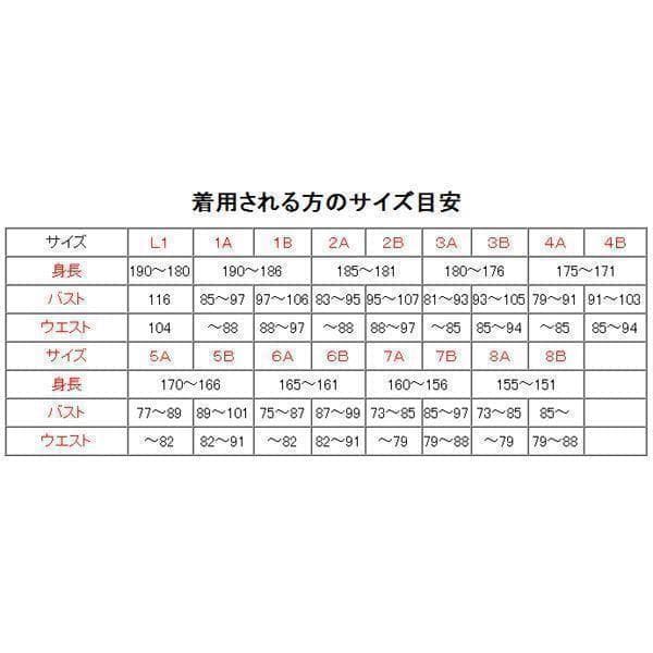 夏３A 陸上自衛隊 リップストップ 迷彩服　　陸自 コンバットシャツの元に