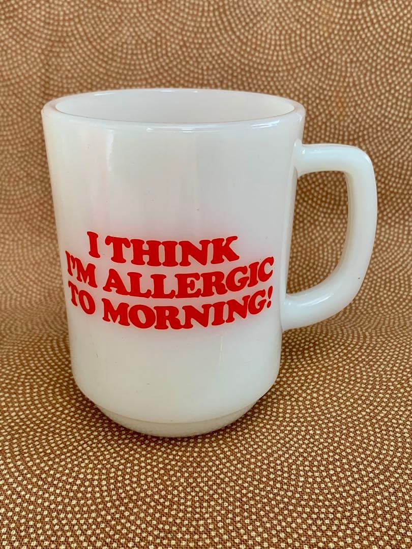 ☆【美品】ファイヤーキング・スヌーピー・モーニングアレルギー