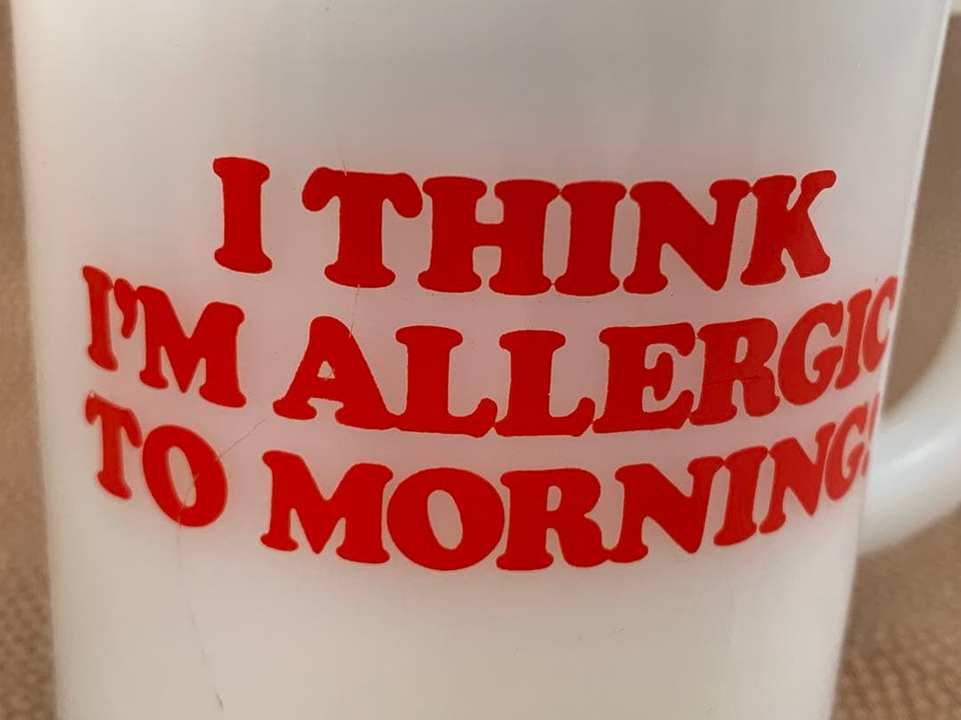 ☆【美品】ファイヤーキング・スヌーピー・モーニングアレルギー