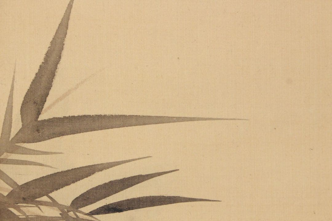 No5584 掛軸　森寛斎　遊亀図　絹本淡彩　日本画　古画　古美術　送料無料