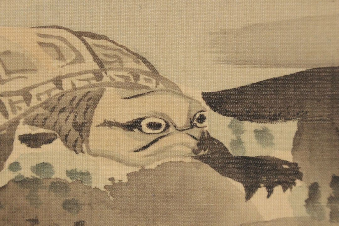 No5584 掛軸　森寛斎　遊亀図　絹本淡彩　日本画　古画　古美術　送料無料