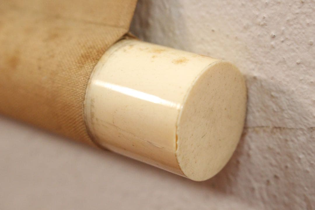 No5584 掛軸　森寛斎　遊亀図　絹本淡彩　日本画　古画　古美術　送料無料