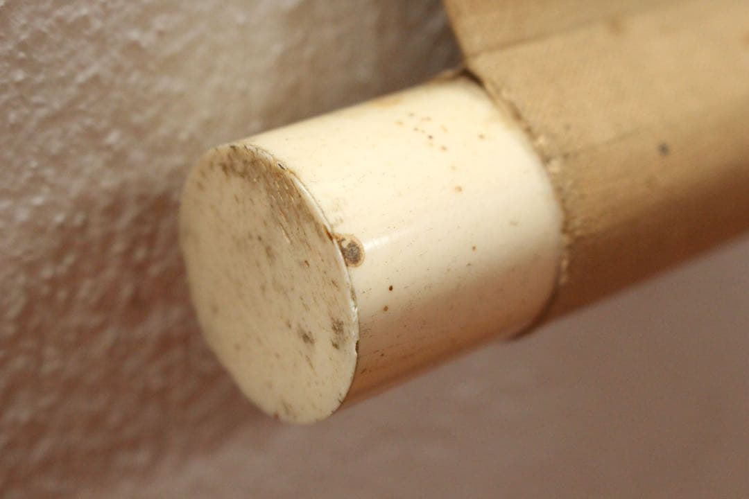 No5584 掛軸　森寛斎　遊亀図　絹本淡彩　日本画　古画　古美術　送料無料