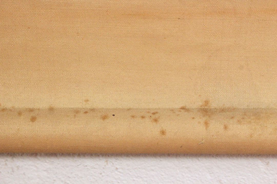 No5584 掛軸　森寛斎　遊亀図　絹本淡彩　日本画　古画　古美術　送料無料