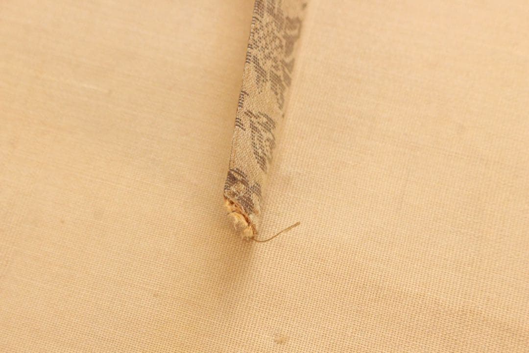 No5584 掛軸　森寛斎　遊亀図　絹本淡彩　日本画　古画　古美術　送料無料