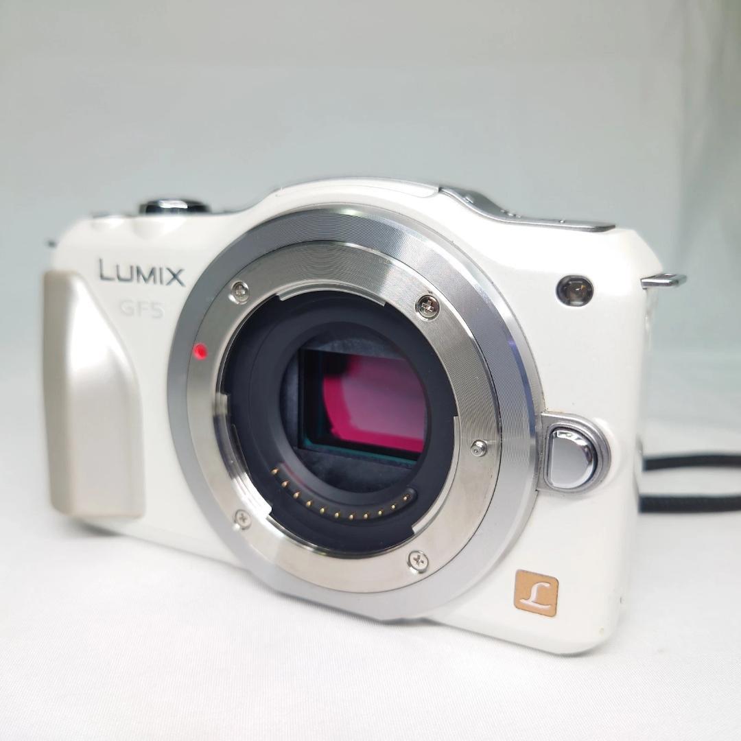 LUMIX DMC-GF5 デジタル一眼レフカメラ 本体 動作確認済み