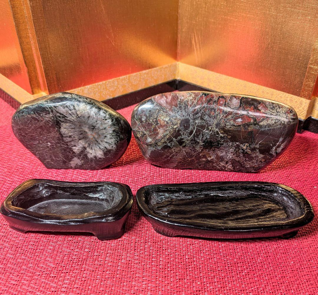 菊花石 岐阜県根尾谷産２個セット 鑑賞石 観賞石 水石 盆石 天然石 置物