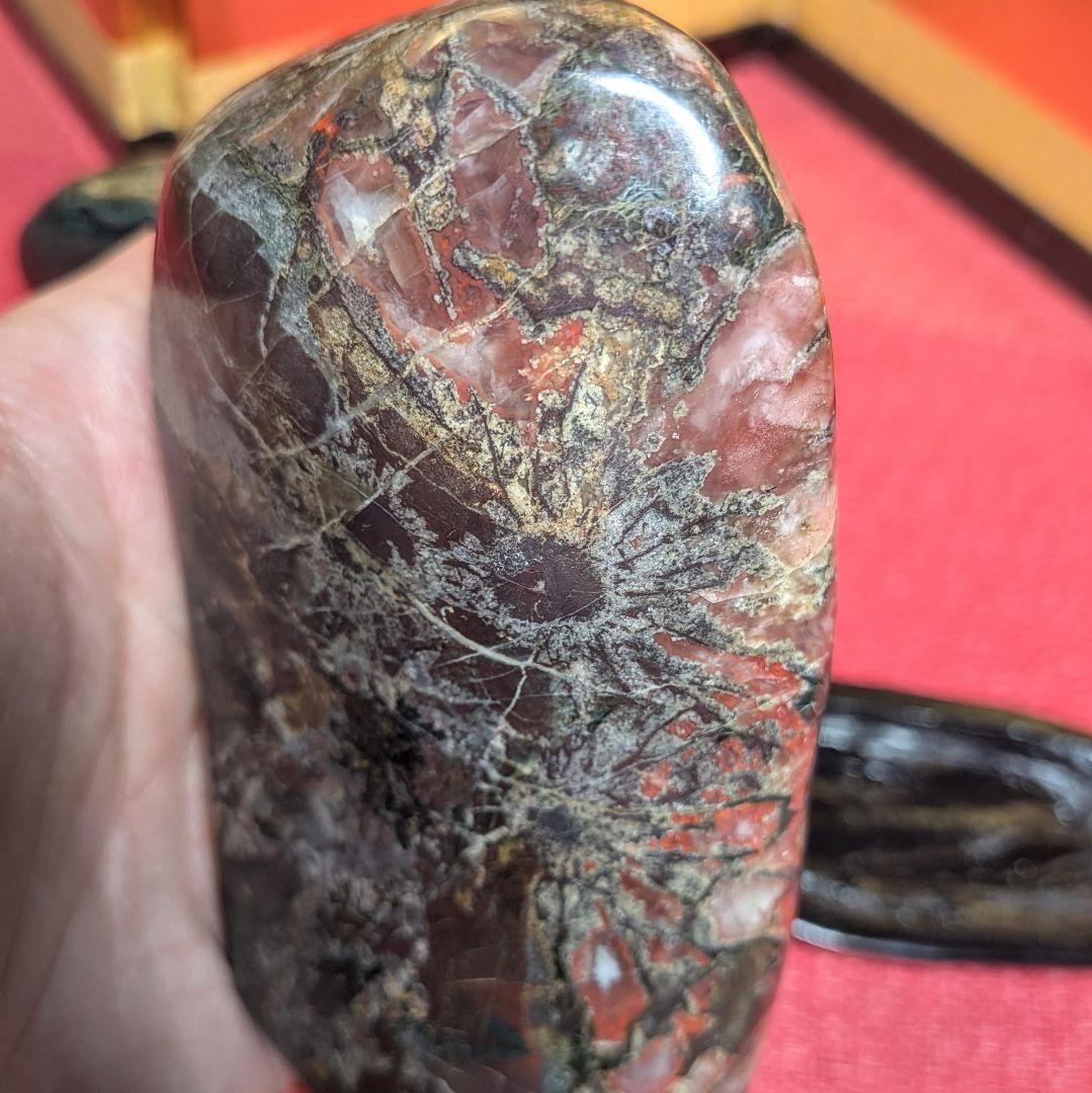 菊花石 岐阜県根尾谷産２個セット 鑑賞石 観賞石 水石 盆石 天然石 置物