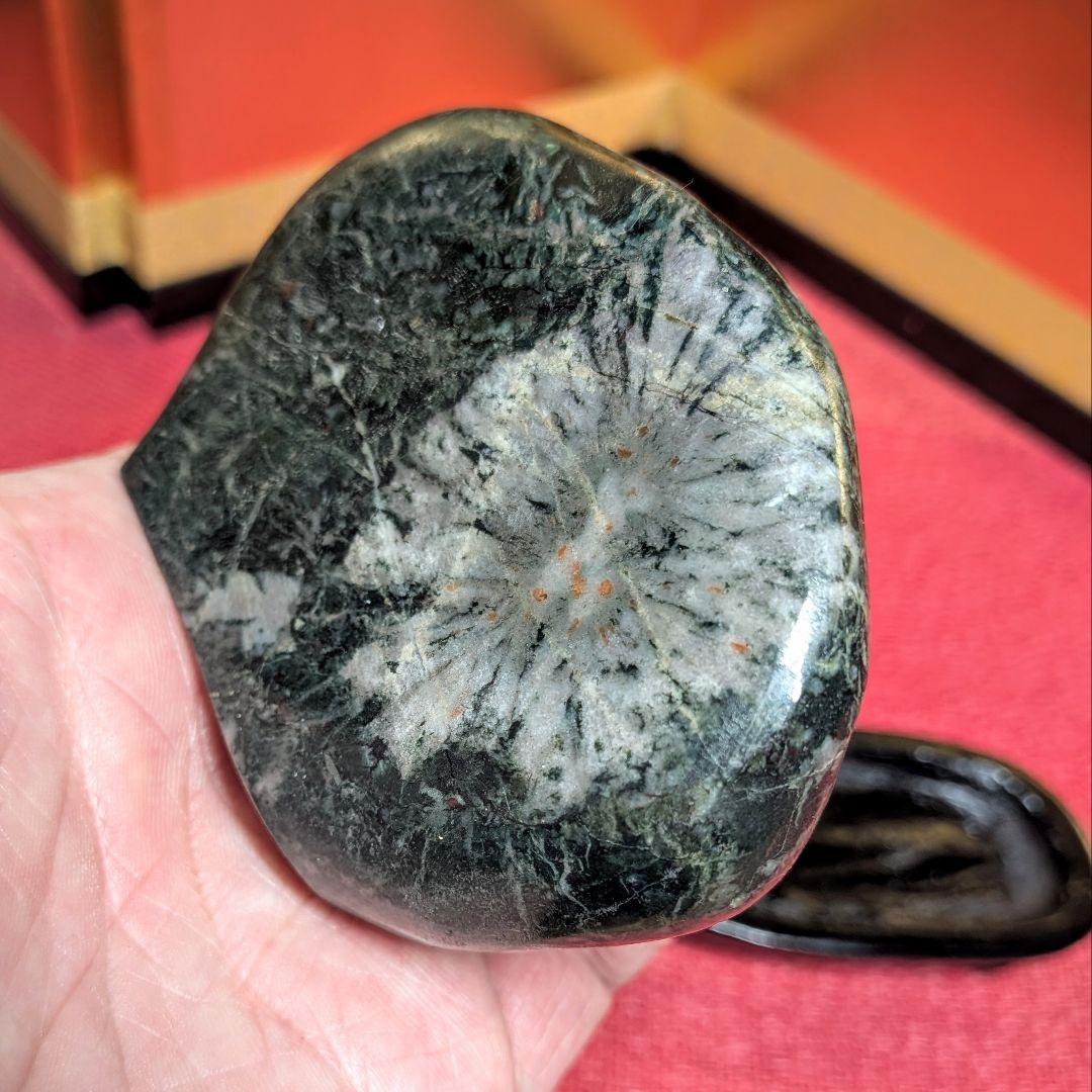 菊花石 岐阜県根尾谷産２個セット 鑑賞石 観賞石 水石 盆石 天然石 置物