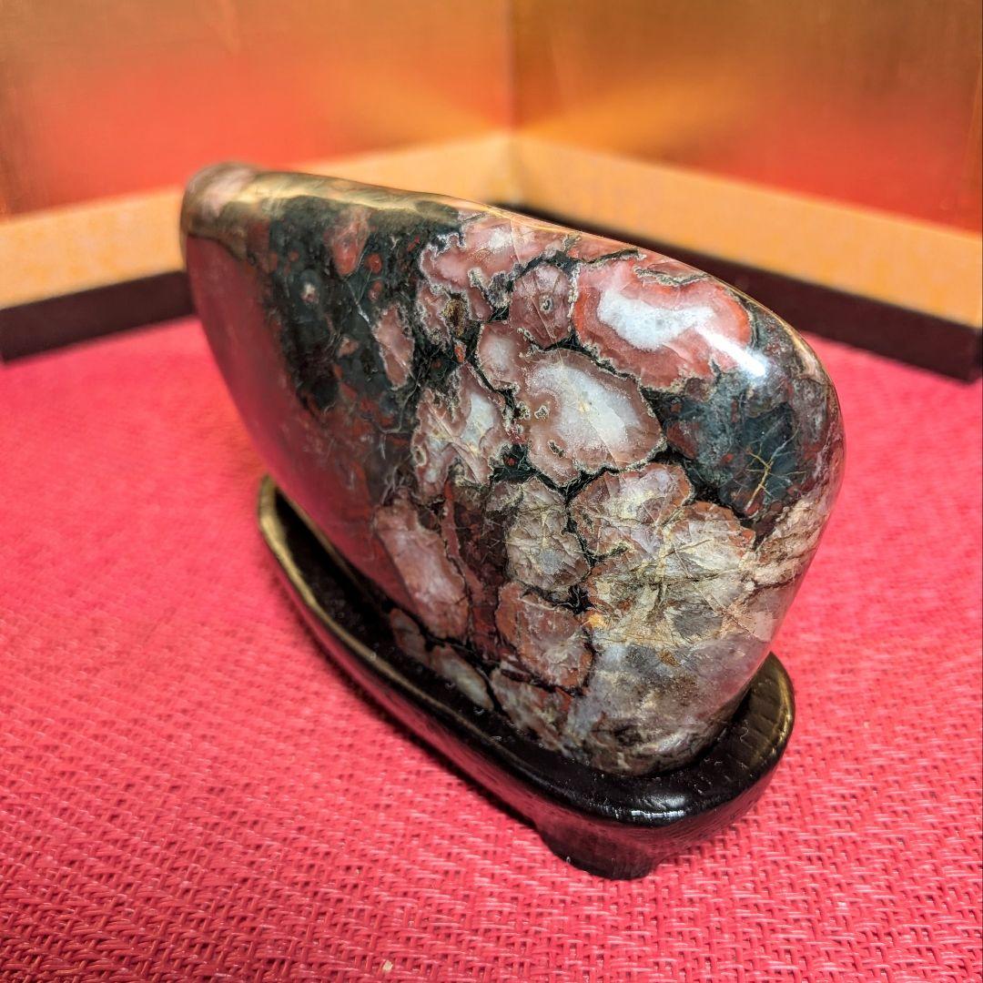 菊花石 岐阜県根尾谷産２個セット 鑑賞石 観賞石 水石 盆石 天然石 置物