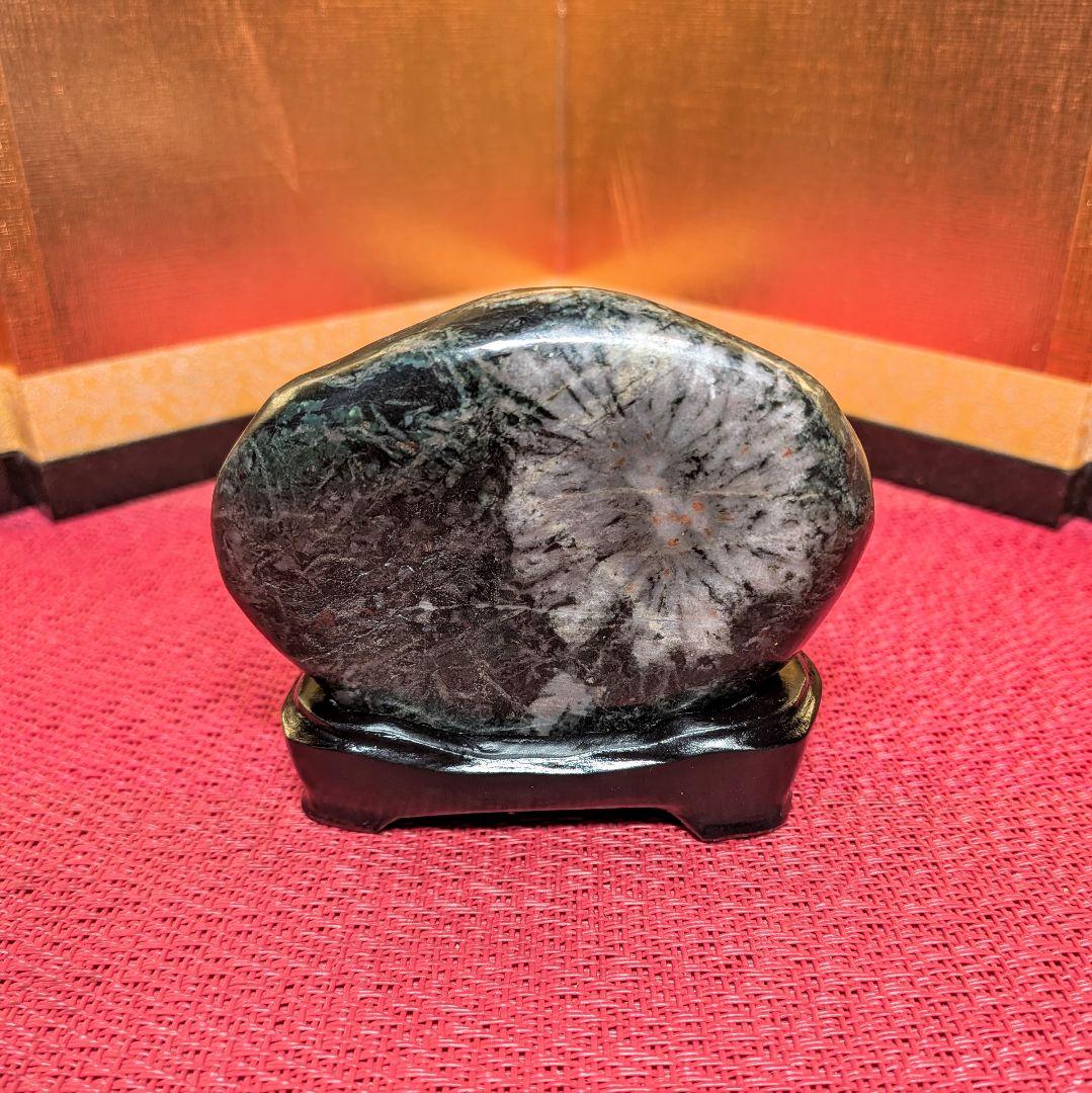 菊花石 岐阜県根尾谷産２個セット 鑑賞石 観賞石 水石 盆石 天然石 置物